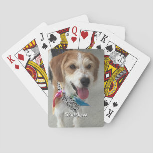 Foto's van huisdieren of foto's en namen van kinde pokerkaarten