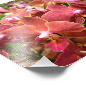 Foto's van Orchid Flowers Foto Afdruk (Hoek)