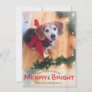 Foto's van Pet & Family Merry & Bright Kerstmis Feestdagenkaart
