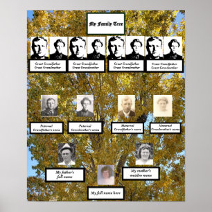 Foto's van stamboom van vier generaties herfst kat poster