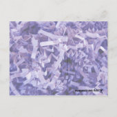 Foto's voor Paarse papiervorm ontbreken Briefkaart (Achterkant)