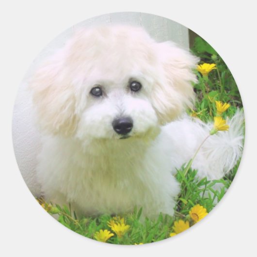 Fotostickers Ronde Sticker (Voorkant)