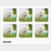 Fotostickers Vierkante Sticker (Vel)