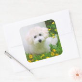 Fotostickers Vierkante Sticker (Envelop)