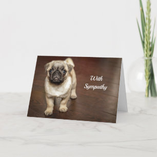 Fotosympathie van Pug Brown Dog Kaart