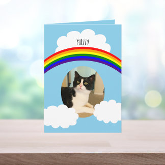 Fotosympathie voor Pet Cat Rainbow Kaart