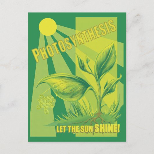 Fotosynthese Briefkaart (Voorkant)