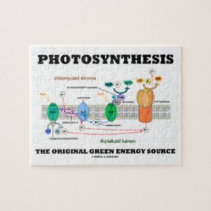 Fotosynthese de originele groene energiebron legpuzzel
