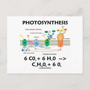 Fotosynthese (koolstofdioxide + water) briefkaart