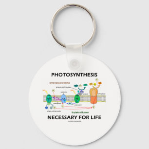 Fotosynthese noodzakelijk voor het leven sleutelhanger