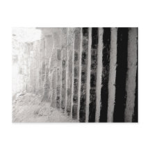 Fototrap voor zwart-witscène