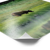 Fotouitbreiding Foto Afdruk (Hoek)