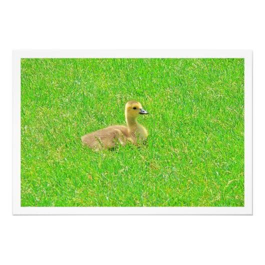 Fotouitbreiding Foto Afdruk (Voorkant)