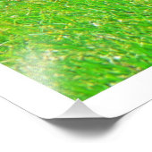 Fotouitbreiding Foto Afdruk (Hoek)