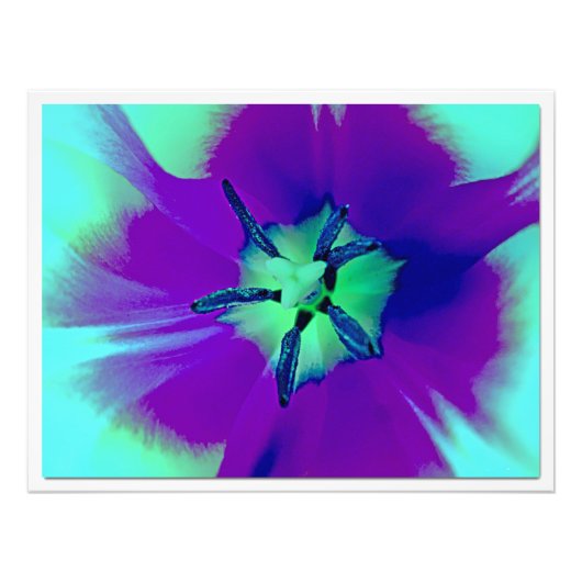 Fotouitbreiding Foto Afdruk (Voorkant)