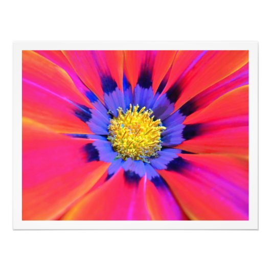 Fotouitbreiding Foto Afdruk (Voorkant)