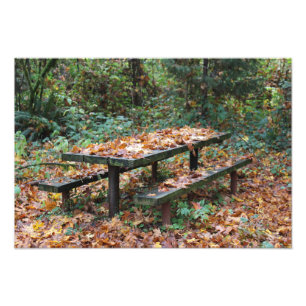 Fotouitbreiding op Picnic Bench 19 x 13 inch Foto Afdruk