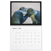 Fotoz à la Fred 2023 Calendar Edition #1 Kalender (Feb 2026)