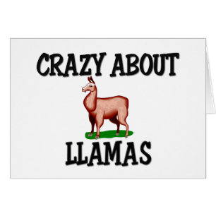 Fou au sujet des lamas