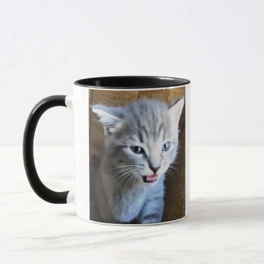 Fou de chat. Humour de chat. Mug de café sur les c (Gauche)
