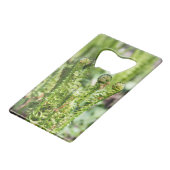 Fougère jeune s'éveillant dans le jardin (Devant Angle)