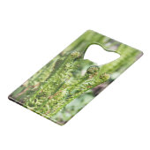 Fougère jeune s'éveillant dans le jardin (Dos Angle)