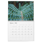 Fougères de forêt de séquoia de calendrier de (Feb 2026)