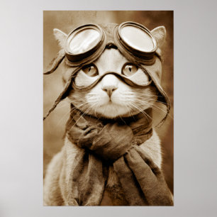 Foulard Chat Lunettes Vintage Impression Rétro
