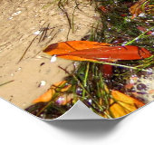 Foules de crashing Colorful Poster feuille (Coin)