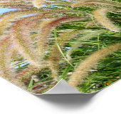 Fountain Grass Poster (Hoek)