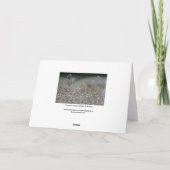 Fountain Spray Kaart (Achterkant)