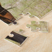 Four Beautiful Horses Jigsaw Puzzle (Côté)