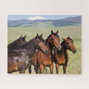 Four Beautiful Horses Jigsaw Puzzle Legpuzzel