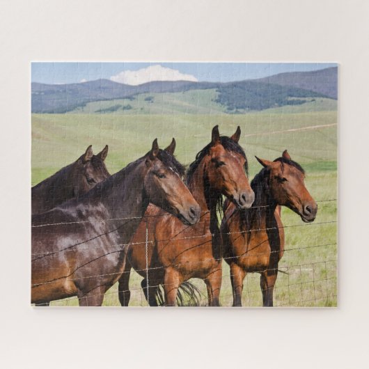 Four Beautiful Horses Jigsaw Puzzle Legpuzzel (Horizontaal)