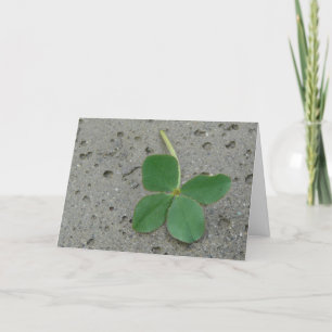 Four Leaf Clover - Lucky Charm Kaart