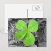 Four Leaf Clover Postcard - Black & White & Green Briefkaart (Voorkant / Achterkant)