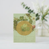 Four Leaf Clover St Patrick's Day Kaart (Staand voorkant)