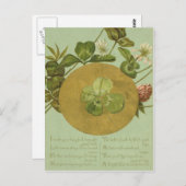 Four Leaf Clover St Patrick's Day Kaart (Voorkant / Achterkant)