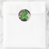 Four leaf clover Sticker (Tas)