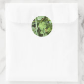 Four leaf Clover Sticker (Sac)