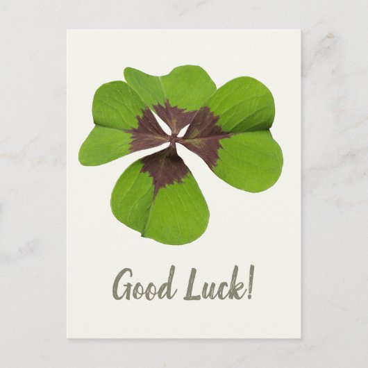 Four Leaf Lucky Clover St Patricks Day Succes Feestdagenkaart (Voorkant)