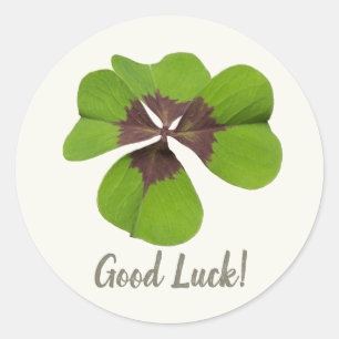 Four Leaf Lucky Clover St Patricks Day Succes Ronde Sticker