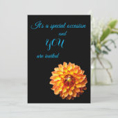 Four Queens Dahlia Invitation Florale (Debout devant)