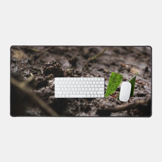 Fourmi (Clavier et souris)