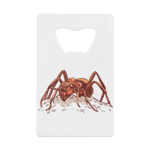 Fourmi Insecte Courageuse