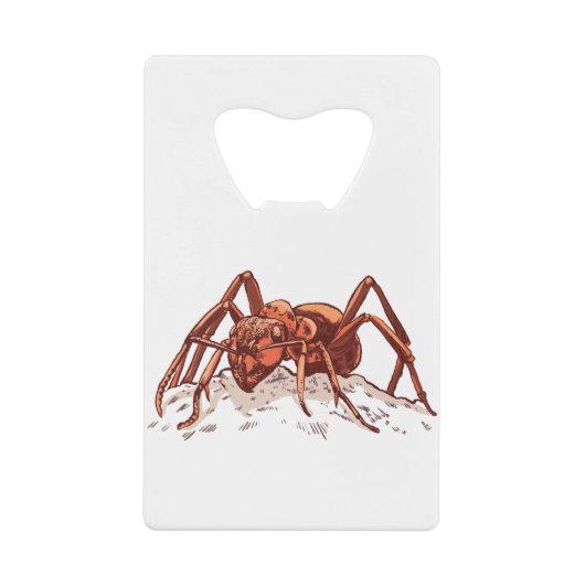 Fourmi Insecte Courageuse (Devant)