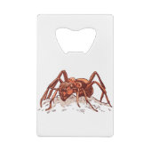 Fourmi Insecte Courageuse (Dos)