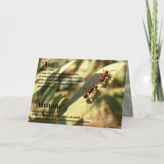 Fourmis et attitude - Carte de voeux #2 (Devant)