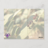 Fourmis et attitude - Carte postale n° 1 (Dos)