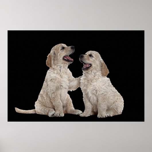 Fourrure Compagnons 36 x 24 Poster (Devant)